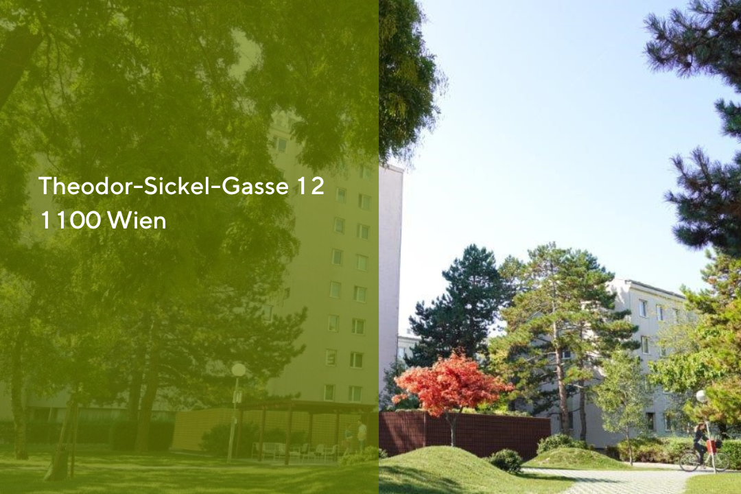 Theodor-Sickel-Gasse 12